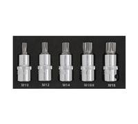 Blue Spot Tools Juego de 5 Puntas Spline 1/2'' (M10-M18)