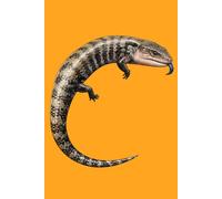 Blue Tongue Skink Journal - Realistic Illustration Cover: Part of the Lizard Collection - Themed for Kids, Teens & Adults - with Unlined Pages