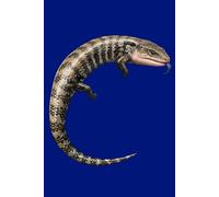 Blue Tongue Skink Journal - Realistic Illustration Cover: Part of the Lizard Collection - Themed for Kids, Teens & Adults - with Lined Pages