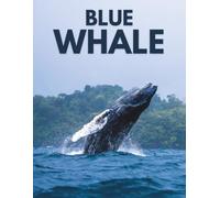 Blue Whale Coffee Table Book : A Collection of Photography Exploring Ocean Views, Deep Sea Beauty, Powerful Encounters, and the Quiet Majesty of Earth’s Largest Creature
