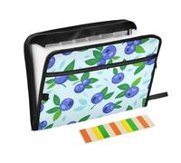 Blueberry - Organizador de archivos de plástico, 13 bolsillos, tamaño A4, tamaño carta con cierre de cremallera, para suministros de oficina, carpetas de archivos de acordeón