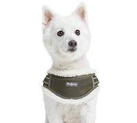 Blueberry Pet 2021 - Chaleco acolchado de forro polar a rayas multicolor para perro, contorno del pecho de 41,9 cm a 53,3 cm, verde oliva, pequeño, ajustable arnés de entrenamiento para perros