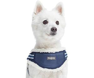 Blueberry Pet 2021 - Chaleco acolchado de forro polar a rayas multicolor para perro, contorno del pecho de 41,9 cm a 53,3 cm, azul, pequeño, ajustable, arnés de entrenamiento para perros