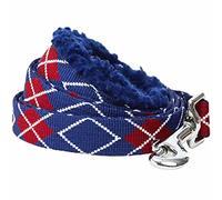 Blueberry Pet 2021 - Correa acolchada para perro con mango suave y cómodo, 1,5 m x 3/4 pulgadas, azul real, tamaño mediano, correas para perros