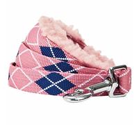Blueberry Pet 2021 - Correa acolchada para perro con mango suave y cómodo, 1,5 m x 3/4 pulgadas, color rosa, tamaño mediano, correas para perros