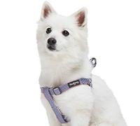 Blueberry Pet 2021 Nuevo arnés de perro trenzas multicolores, contorno de pecho de 16.5 a 21.5 pulgadas, pequeño arnés ajustable para perros