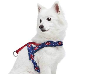 Blueberry Pet Arnés de perro suave y cómodo con forro polar escocesa para perro, color azul real, contorno del pecho de 41,9 cm a 53,3 cm, pequeño, ajustable para perros
