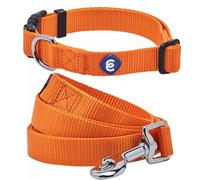 Blueberry Pet Essentials - Juego de collar y correa a juego para perro en naranja bermellón, collar clásico ajustable de nailon de color sólido con correa de 5 pies para perros medianos