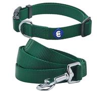 Blueberry Pet Essentials - Juego de collar y correa a juego para perro en verde verde, collar clásico ajustable de nailon de color sólido con correa de 4 pies para perros grandes