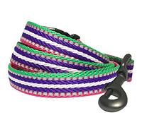 Blueberry Pet Lead with Soft & Comfortable Handle, 150 cm x 1.5cm 3M Reflective Multi-Colored Stripe Dog Lead in Pink, Small