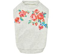Blueberry Pet Love A primera vista Sociedad de perros de Rose Flower en gris longitud de la espalda 10 """" Paquete de 1 ropa para perros