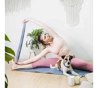 Blueberry Style 2021 Nueva caja de regalo variada en trenzas multicolores, suave collar de perro pequeño, correa elástica de alta densidad de 6 pies y bandas elásticas para los amantes de las mascotas