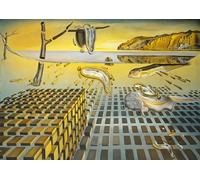 Bluebird 1000 el. Salvador Dali, Korpuskularna trwaÄšoÄšĂ [Puzzle]