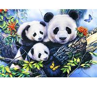 Bluebird puzzle La Familia Panda - 1000 Piezas