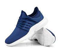 Bluegrass Band - Shine Hallelujah Shine 2