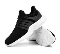 Bluegrass Band, the - Shine Hallelujah Shine 1