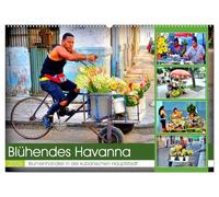 Blühendes Havanna - Blumenhändler in der kubanischen Hauptstadt (Wandkalender 2026 DIN A2 quer), CALVENDO Monatskalender: Der Verkauf von Blumen in Habana Vieja