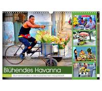 Blühendes Havanna - Blumenhändler in der kubanischen Hauptstadt (Wandkalender 2026 DIN A3 quer), CALVENDO Monatskalender: Der Verkauf von Blumen in Habana Vieja