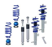 Blueline Suspensión Roscada Apto para Ford Fiesta Jh Y Jd 1.25 , 1.3 , 1.4 , 1.6