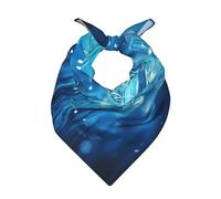 BlueMusic - Pañuelo de cachemira con estampado de cachemira para hombres y mujeres, polaina para el cuello, diadema, bufanda.