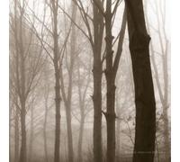 Blueneck – Scars Of The Midwest – CD