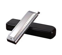 Blues Harmonica In C - Arpa diatónica de 16 agujeros para adultos principiantes