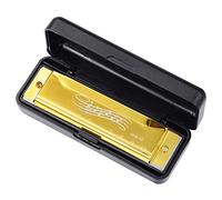 Blues-Harmonica In C Key 10 Agujeros Blues-Arp Armónica diatónica 20 tonos, boca, órgano, armónica para adultos, niños, principiantes, armónica ABS