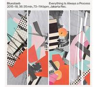 Bluestaeb - Everything Is Always A Process [Vinilo]