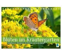 Blüten im Kräutergarten (Tischkalender 2026 DIN A5 quer), CALVENDO Monatskalender: Heilpflanzen: Alleskönner als Medizin und in der Küche