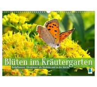 Blüten im Kräutergarten (Wandkalender 2026 DIN A3 quer), CALVENDO Monatskalender: Heilpflanzen: Alleskönner als Medizin und in der Küche