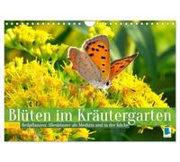 Blüten im Kräutergarten (Wandkalender 2026 DIN A4 quer), CALVENDO Monatskalender: Heilpflanzen: Alleskönner als Medizin und in der Küche