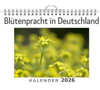 Blütenpracht in Deutschland: (Wandkalender 2026, Kalender DIN A4 quer, Monatskalender im Querformat mit Kalendarium, das perfekte Geschenk)