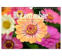 Blütenzauber - Traumhafte Farben der Natur (Wandkalender 2026 DIN A4 quer), CALVENDO Monatskalender: Schöne Blumen in der Natur