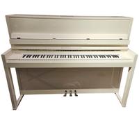 Blüthner Haessler Model HB 116