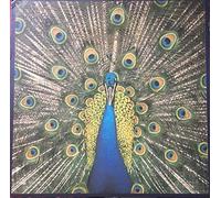 Bluetones, the - Expecting to Fly [Vinilo]