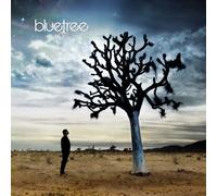Bluetree - God of This City