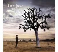 Bluetree - God of This City [Import]