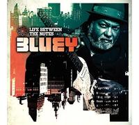 Bluey - Life Between the Notes