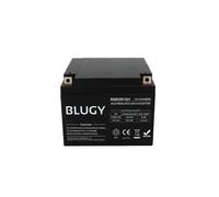 Blugy Batería Compacta Agm 12v 24a 165 X 176 X 127 Mm