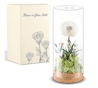 Blulu Diente de León Real en Vidrio Regalo para Mujeres Flores Preservadas en Cristal Regalo para Cumpleaños Día de Madres Boda Navidad Mama Abuela Hermana Amiga