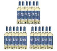 Blume Blanco "Sauvignon Blanc" - 6 botellas x 750ml - Total:4500ml (Paquete de 3)