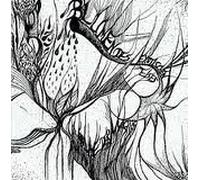 Blumen Des Exotischen Eis - Karawane Des Mystiks