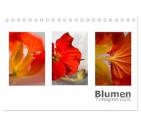 Blumen Trilogien (Tischkalender 2026 DIN A5 quer), CALVENDO Monatskalender: Jeden Monat drei verschiedene Bilder der selben Blume. Ein ganz besonderer Kalender, der sich aus der Masse abhebt.