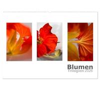 Blumen Trilogien (Wandkalender 2026 DIN A2 quer), CALVENDO Monatskalender: Jeden Monat drei verschiedene Bilder der selben Blume. Ein ganz besonderer Kalender, der sich aus der Masse abhebt.