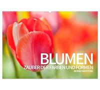 BLUMEN Zauber der Farben und Formen (Wandkalender 2026 DIN A2 quer), CALVENDO Monatskalender: Faszinierender Blumen- und Blütenzauber