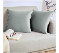 Blumtal Juego de 2 Fundas de Cojín de Terciopelo - Cojín Decorativo con Cremallera Oculta, Decoración para Hogar, Sofás, Camas, Gris, 60 x 60 cm