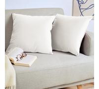 Blumtal Juego de 2 Fundas de Cojín de Terciopelo - Cojín Decorativo con Cremallera Oculta, Decoración para Hogar, Sofás, Camas, Blanco, 60 x 60 cm