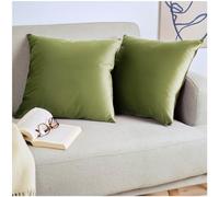 Blumtal Juego de 2 Fundas de Cojín de Terciopelo - Cojín Decorativo con Cremallera Oculta, Decoración para Hogar, Sofás, Camas, Verde, 40 x 40 cm