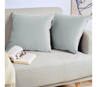 Blumtal Juego de 2 Fundas de Cojín de Terciopelo - Cojín Decorativo con Cremallera Oculta, Decoración para Hogar, Sofás, Camas, Gris Paloma, 30 x 50 cm