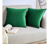 Blumtal Juego de 2 Fundas de Cojín de Terciopelo - Cojín Decorativo con Cremallera Oculta, Decoración para Hogar, Sofás, Camas, Verde Botánico, 60 x 60 cm